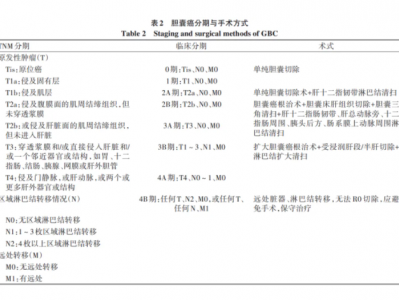 胆囊癌的手术与分级