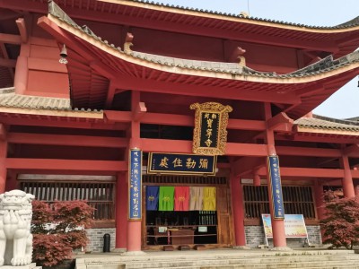 2024年7月，人生这盘棋，怎么走，全看你自己。