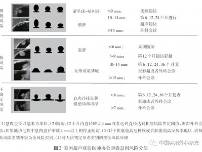 美国胆囊疾病超声共识精华部分18点，小黑娃整理归纳总结