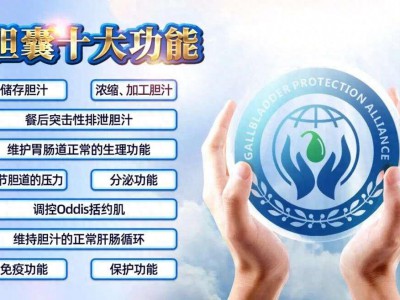 胆囊的十大功能，你了解吗？