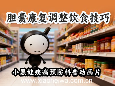 第5集《胆囊康复调整饮食技巧》原创胆囊疾病预防科普动画片