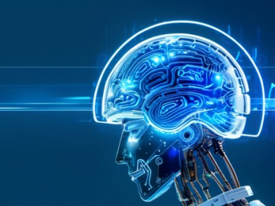 胆囊AI分析系统的进度汇报，第一阶段快完成。